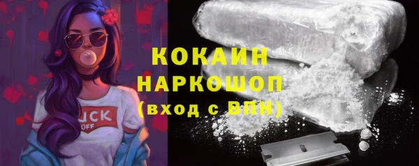 ПСИЛОЦИБИНОВЫЕ ГРИБЫ Богданович