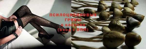 первитин Богородск