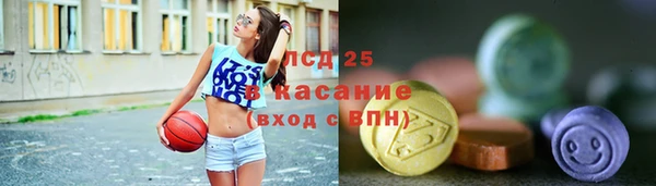 ПСИЛОЦИБИНОВЫЕ ГРИБЫ Богданович
