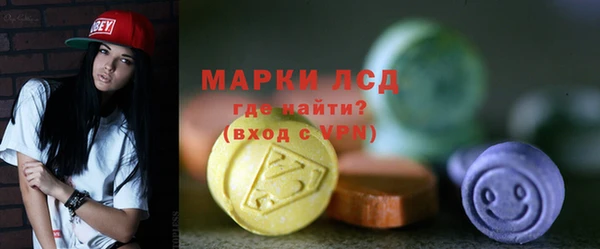 ПСИЛОЦИБИНОВЫЕ ГРИБЫ Богданович
