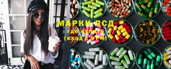 ПСИЛОЦИБИНОВЫЕ ГРИБЫ Богданович
