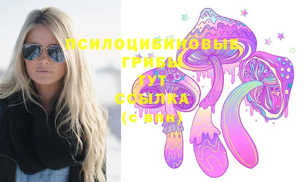 герыч Богородицк