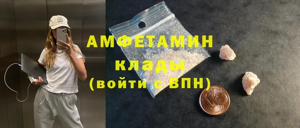 ПСИЛОЦИБИНОВЫЕ ГРИБЫ Богданович