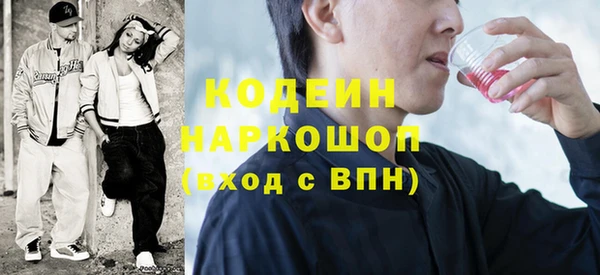 ПСИЛОЦИБИНОВЫЕ ГРИБЫ Богданович