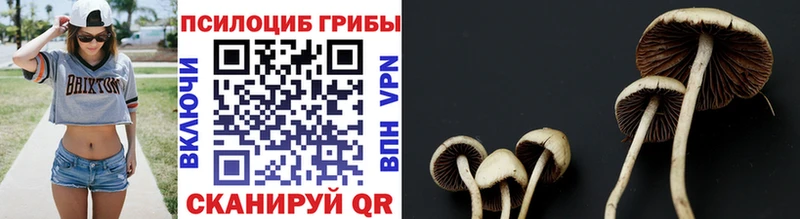 Псилоцибиновые грибы мухоморы  Дятьково 